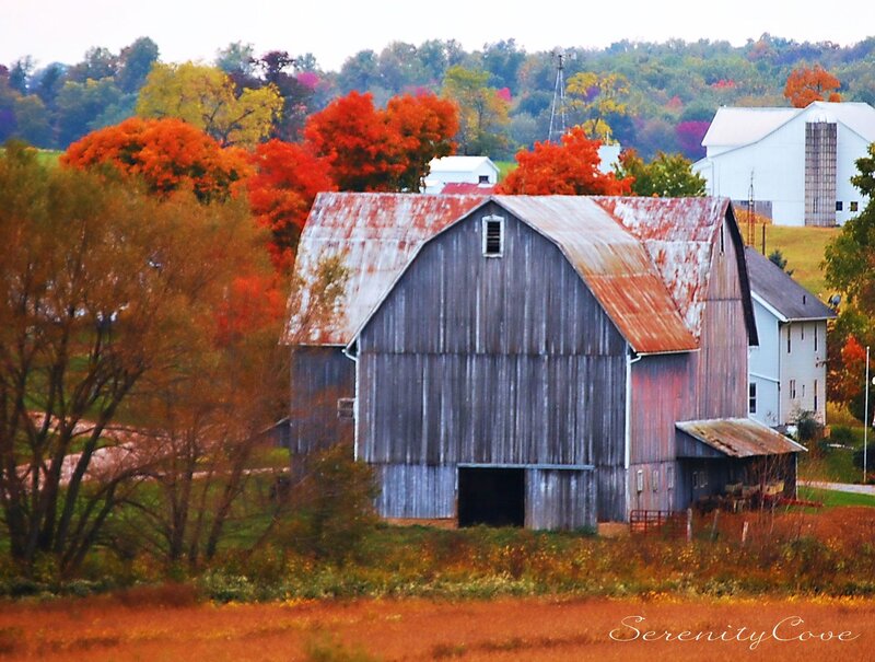 Old Barn in Autumn — Orange