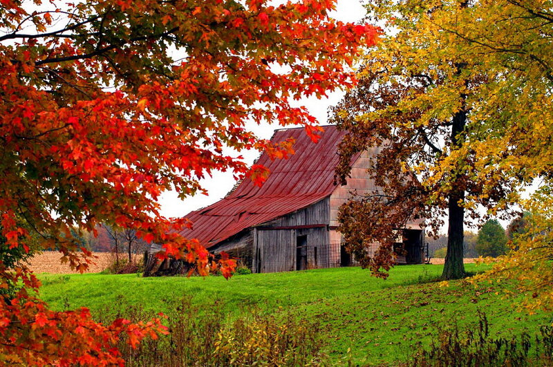 Old Barn in Autumn — Red