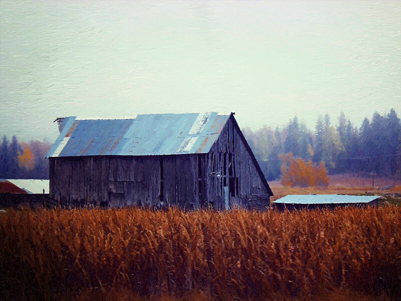 Old Barn in Field — Brown, Serene