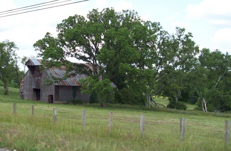 Old Barn in Field — Green, Calm