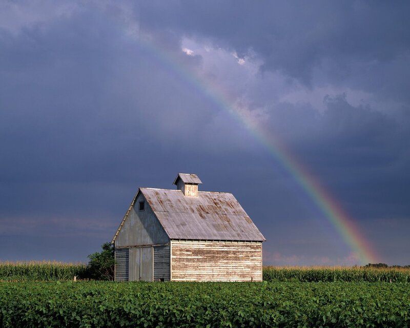 Old Barn in Field — Green, Dramatic