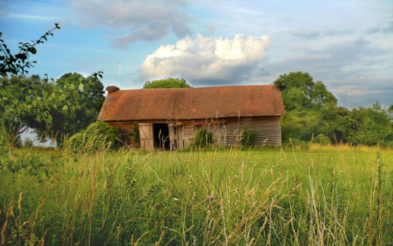 Old Barn in Field — Green, Serene, Afternoon