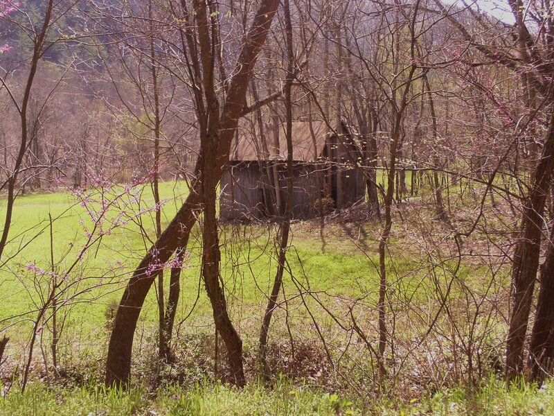 Old Barn in Field — Green, Serene, Spring, Photograph