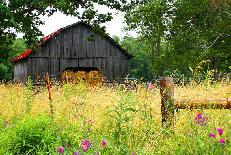 Old Barn in Field — Green, Serene, Summer