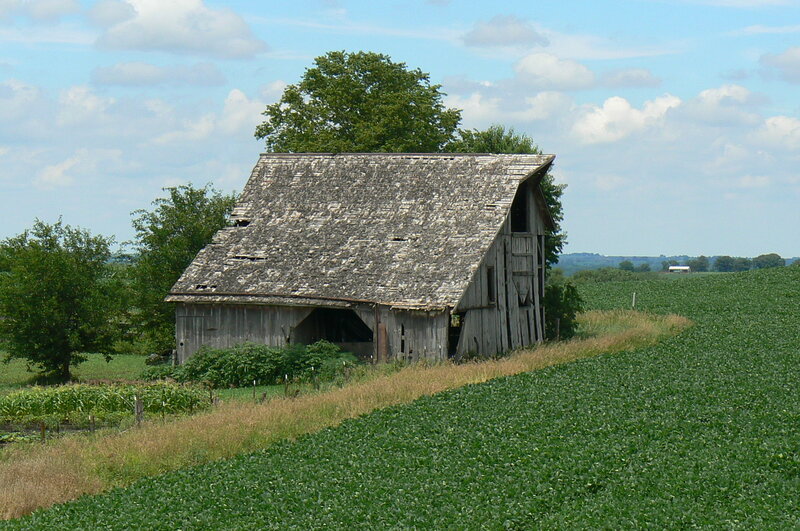 Old Barn in Field — Green
