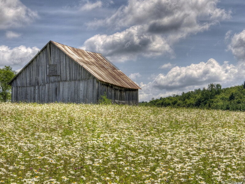 Old Barn in Field