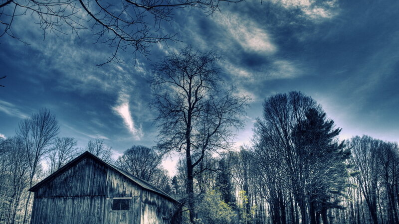 Old Barn in Forest — Blue