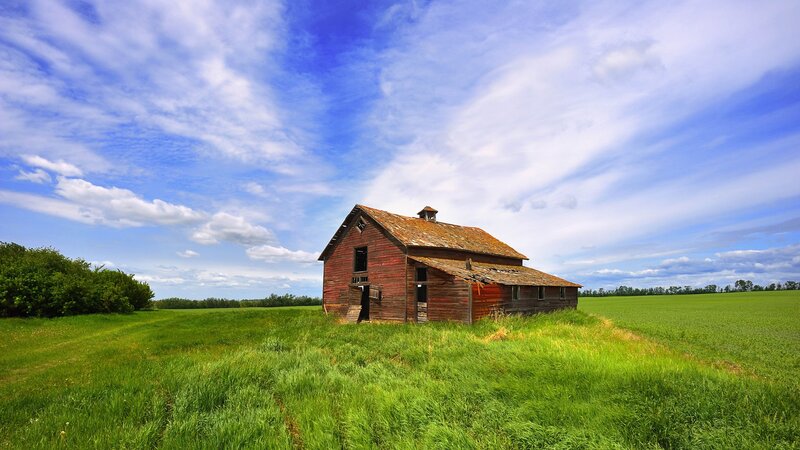 Old barn in green field