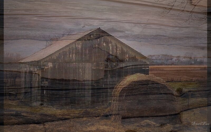 Old barn in rural landscape