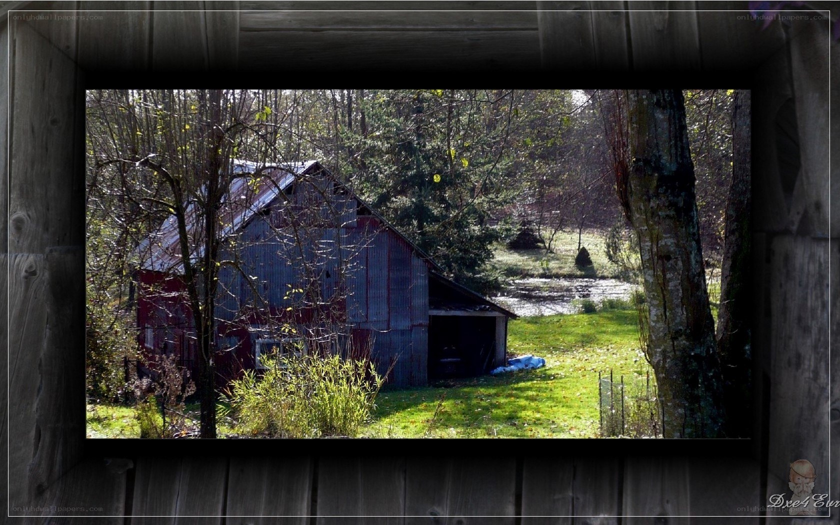 Old barn in wooded area