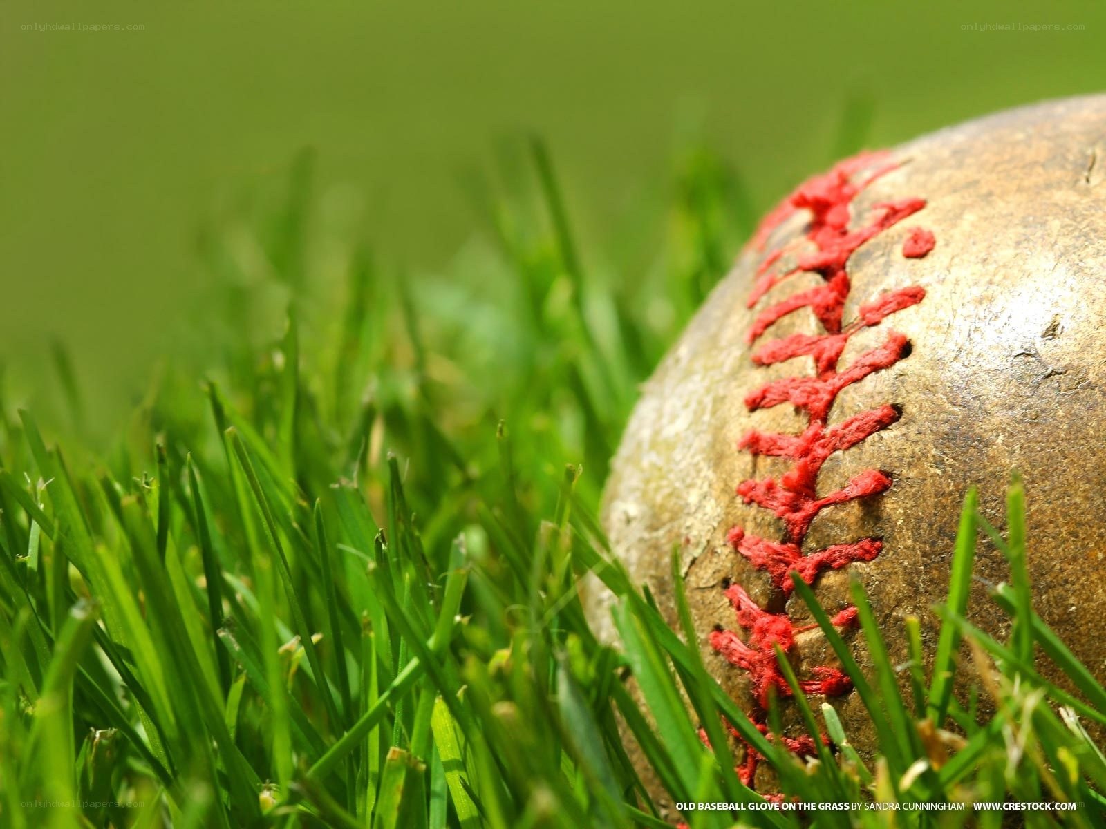 Old baseball on grass
