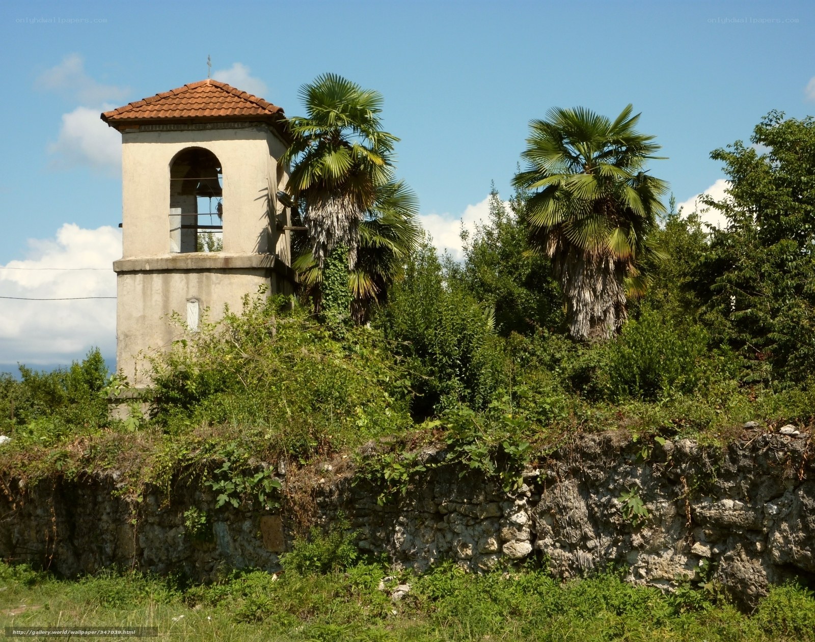 Old bell tower with palm trees
