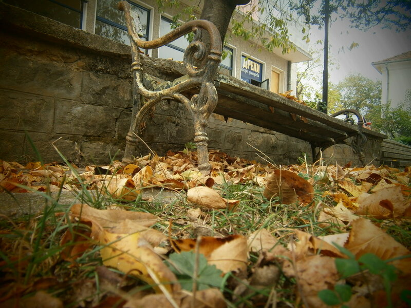 Old Bench with Leaves