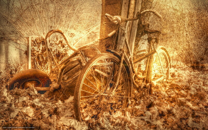 Old bicycle in autumn leaves