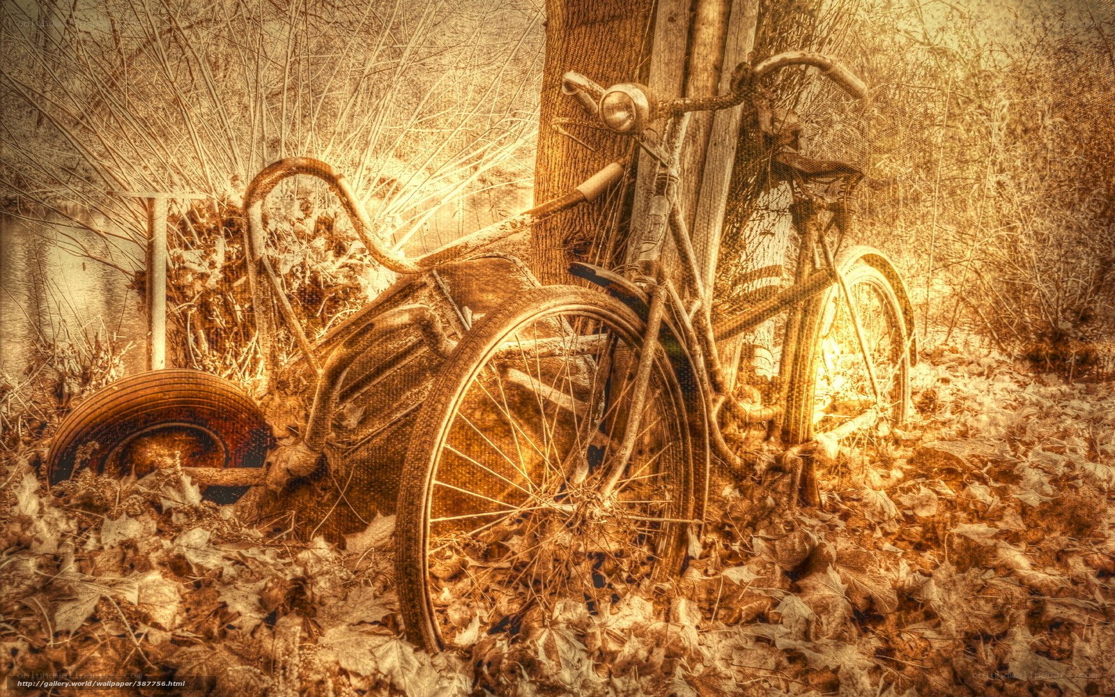 Old bicycle in autumn leaves
