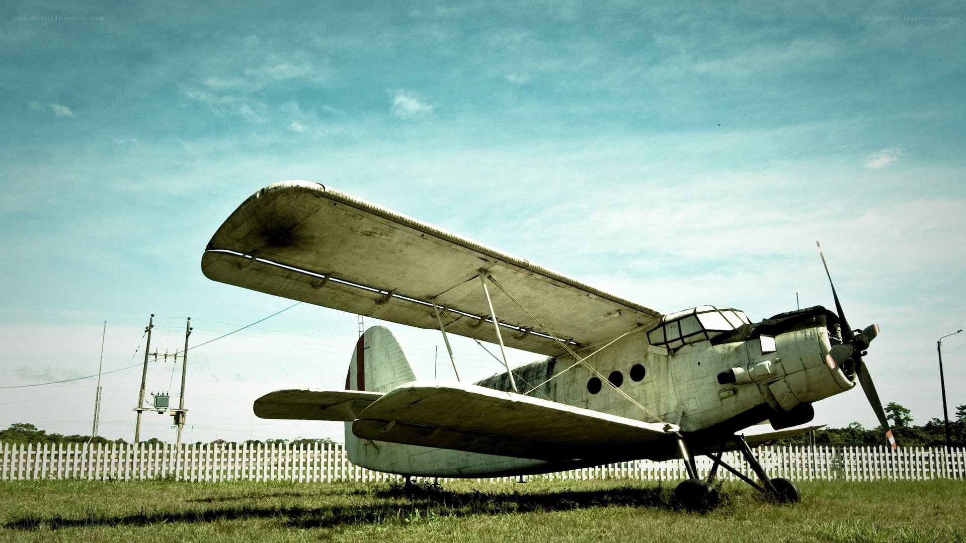 old biplane on grass field