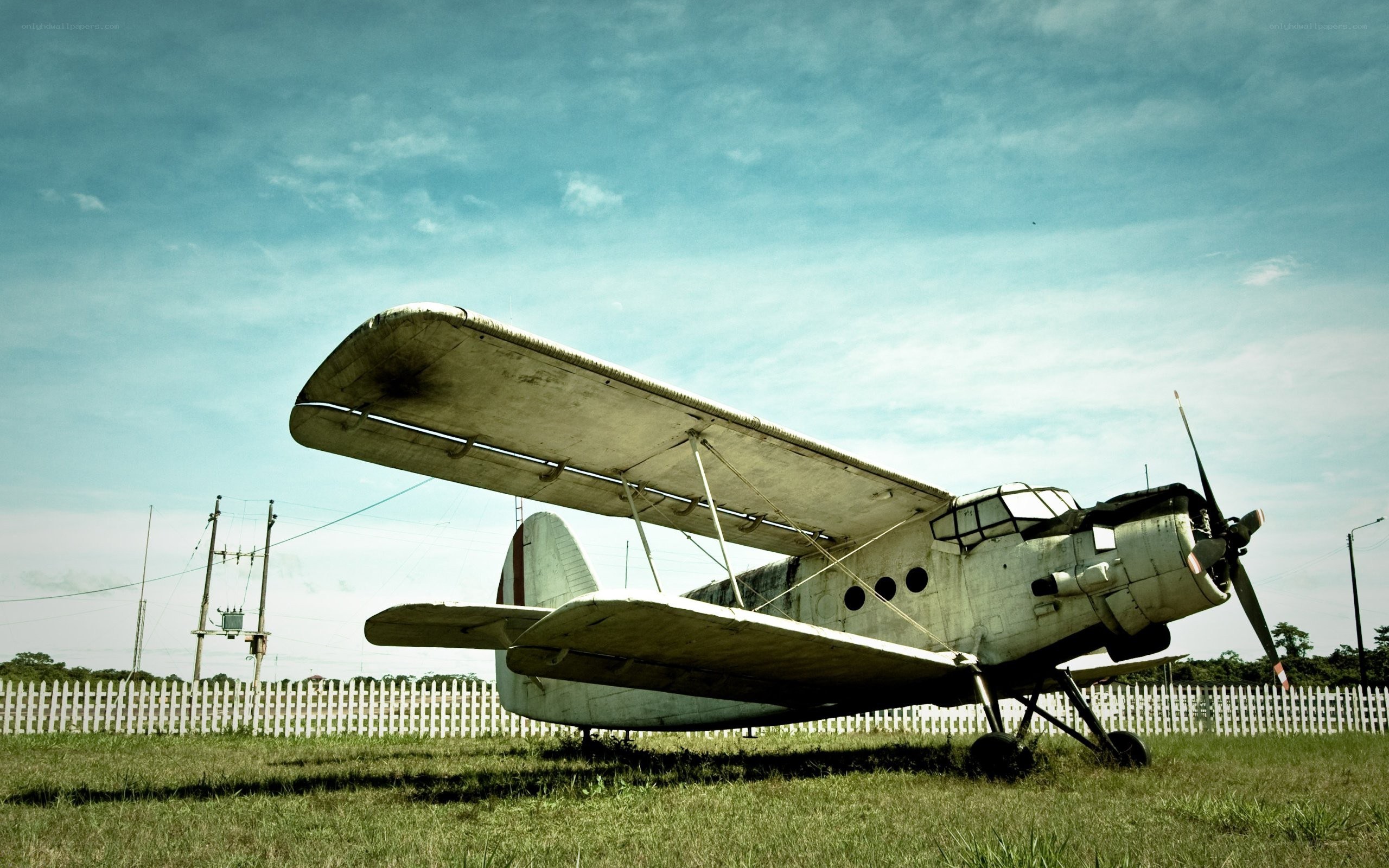 old biplane on grass field