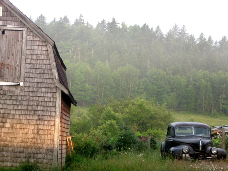 Old Black Car in Field