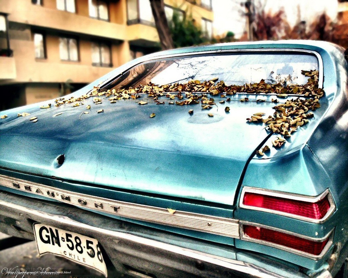 Old blue car with leaves