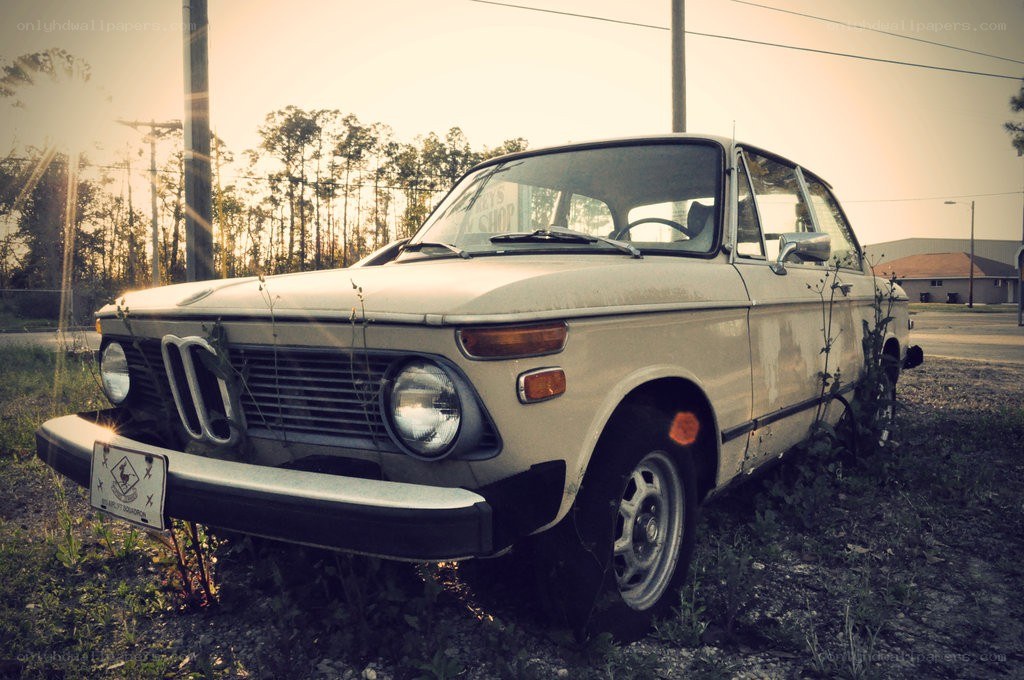 Old BMW in a field
