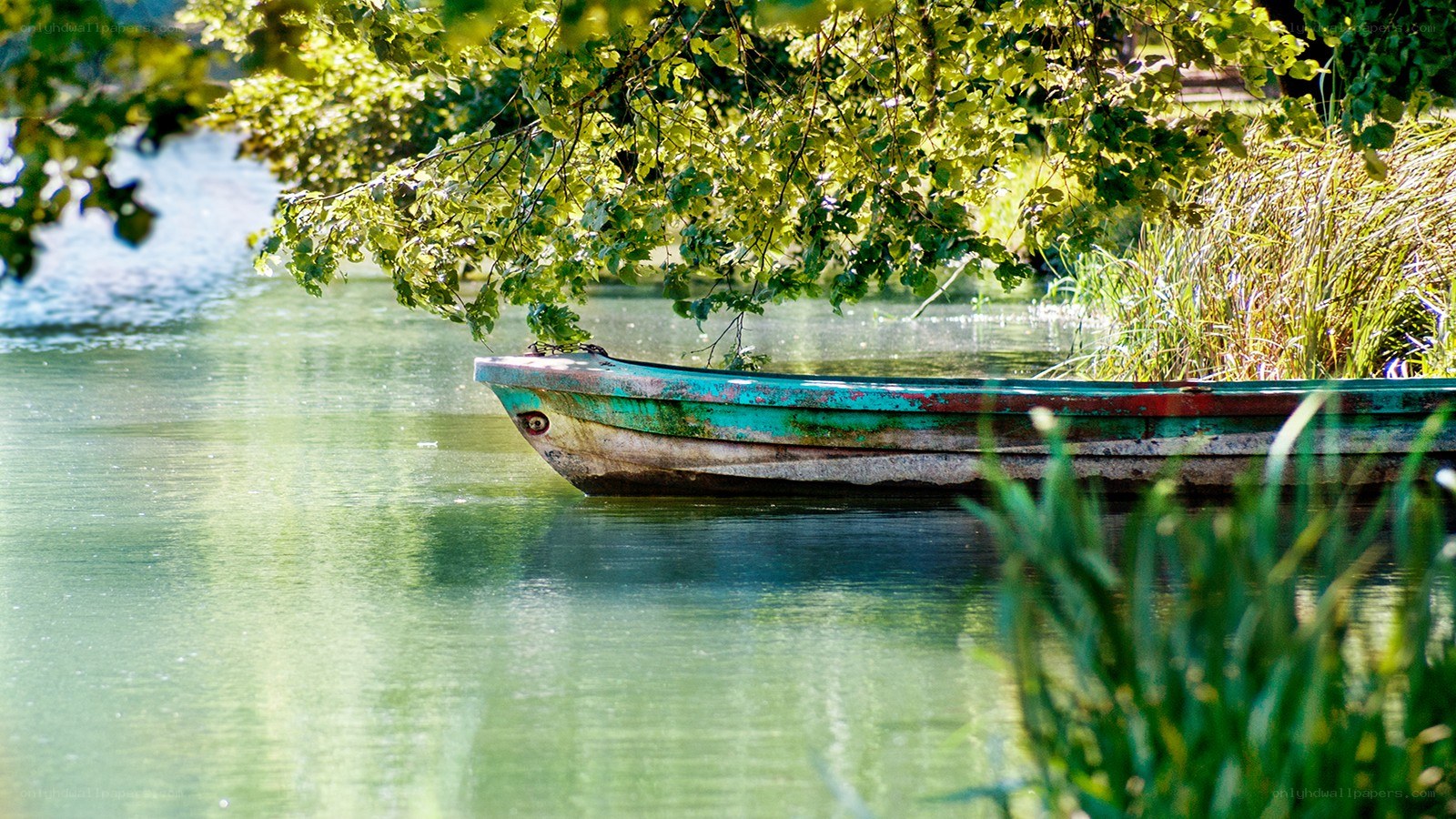 Old boat on a calm river