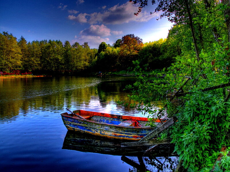 Old Boat on Lake