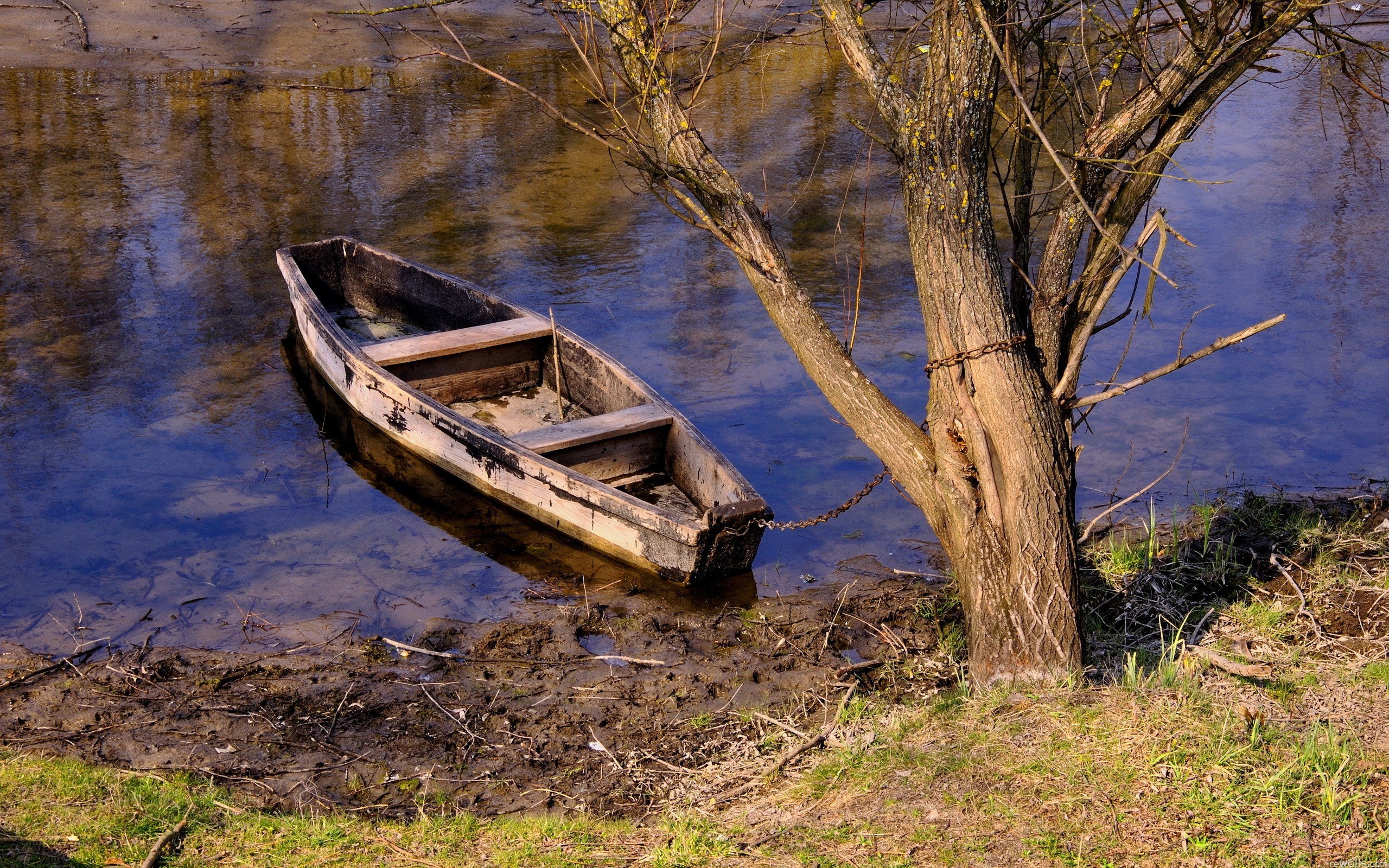 Old boat tied to a tree