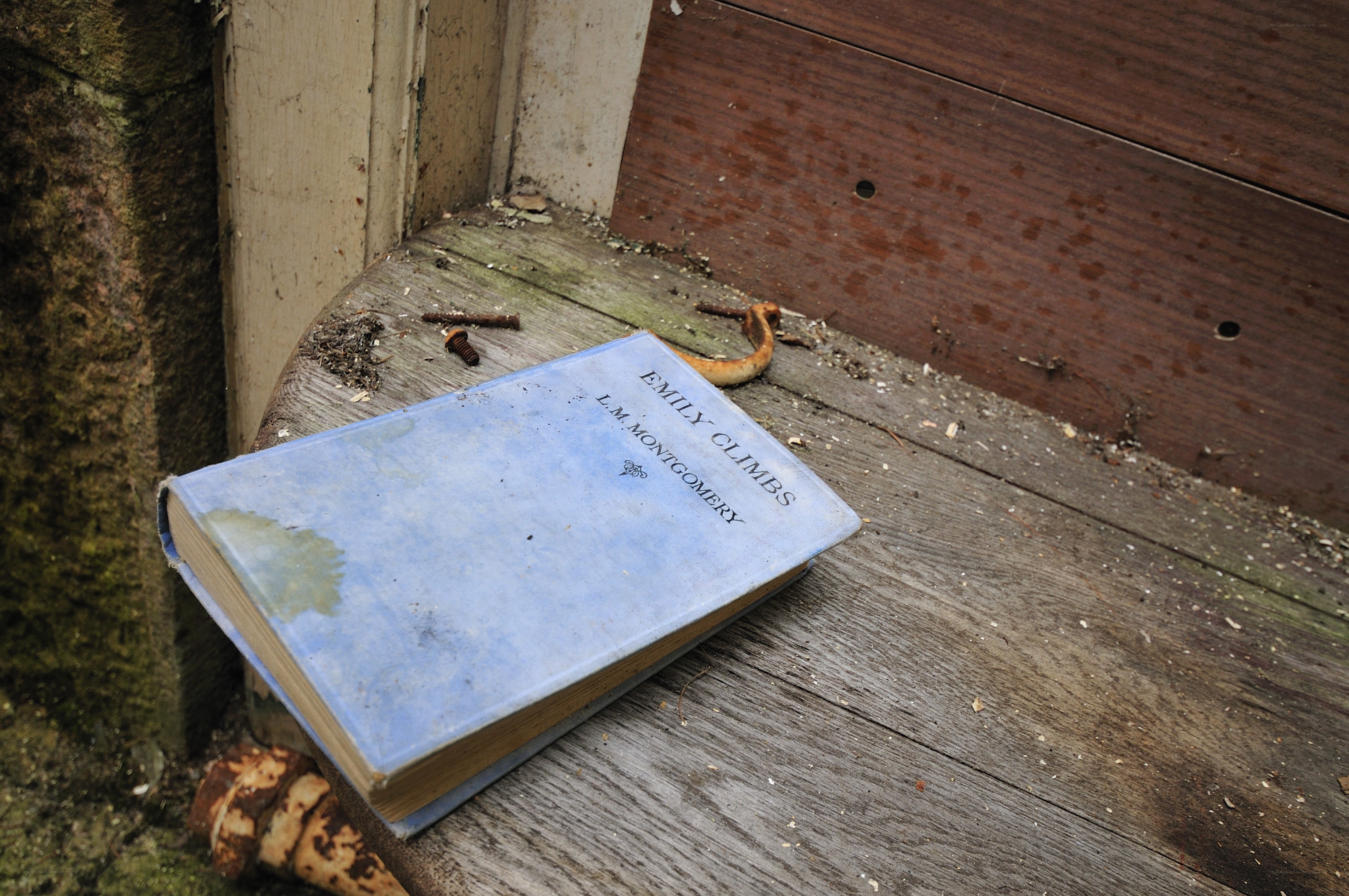 Old book on a wooden bench