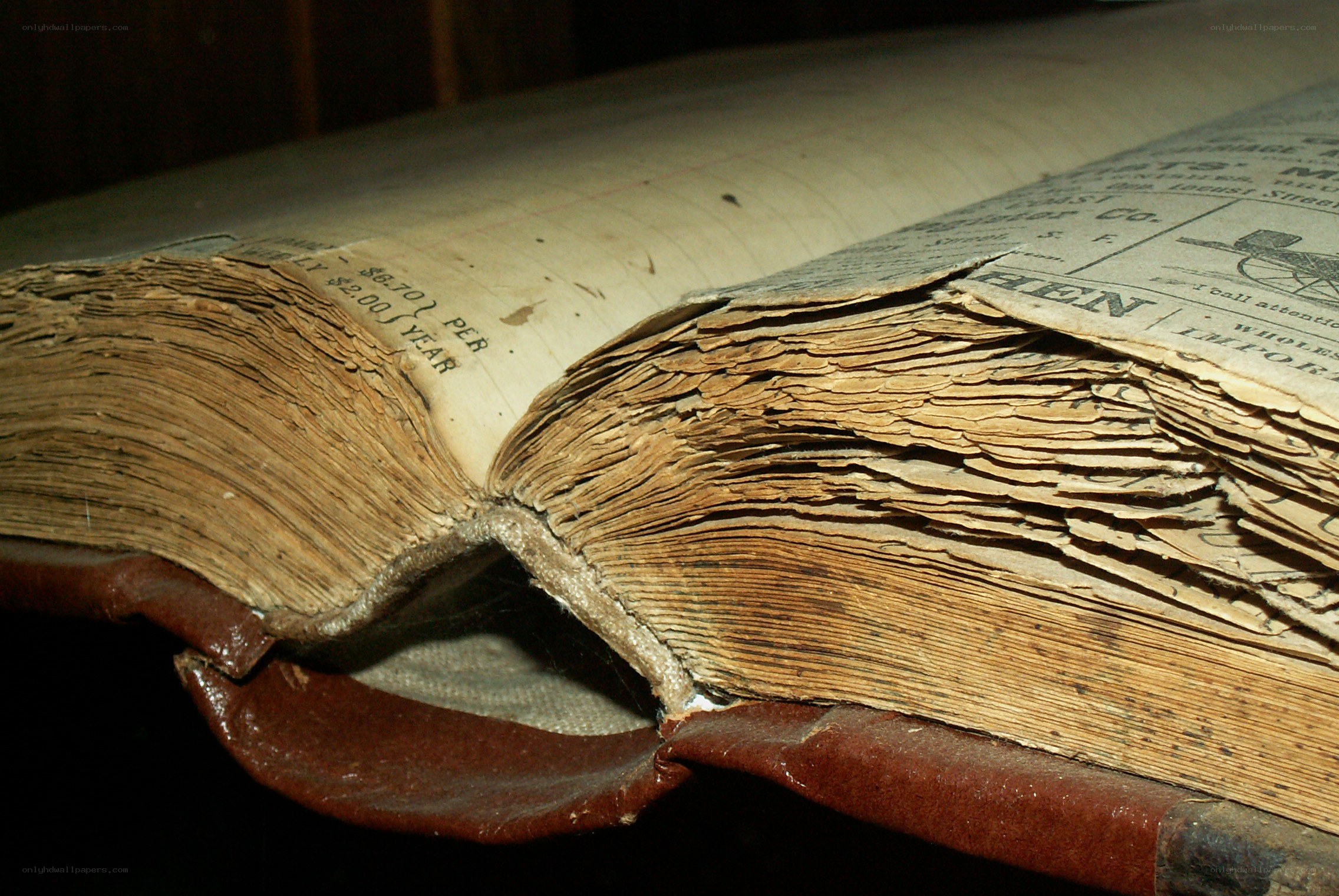 old book with damaged pages