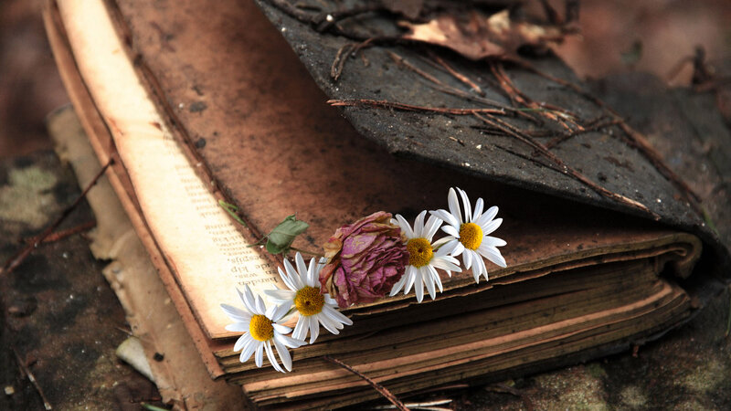 Old Book with Flowers — Brown