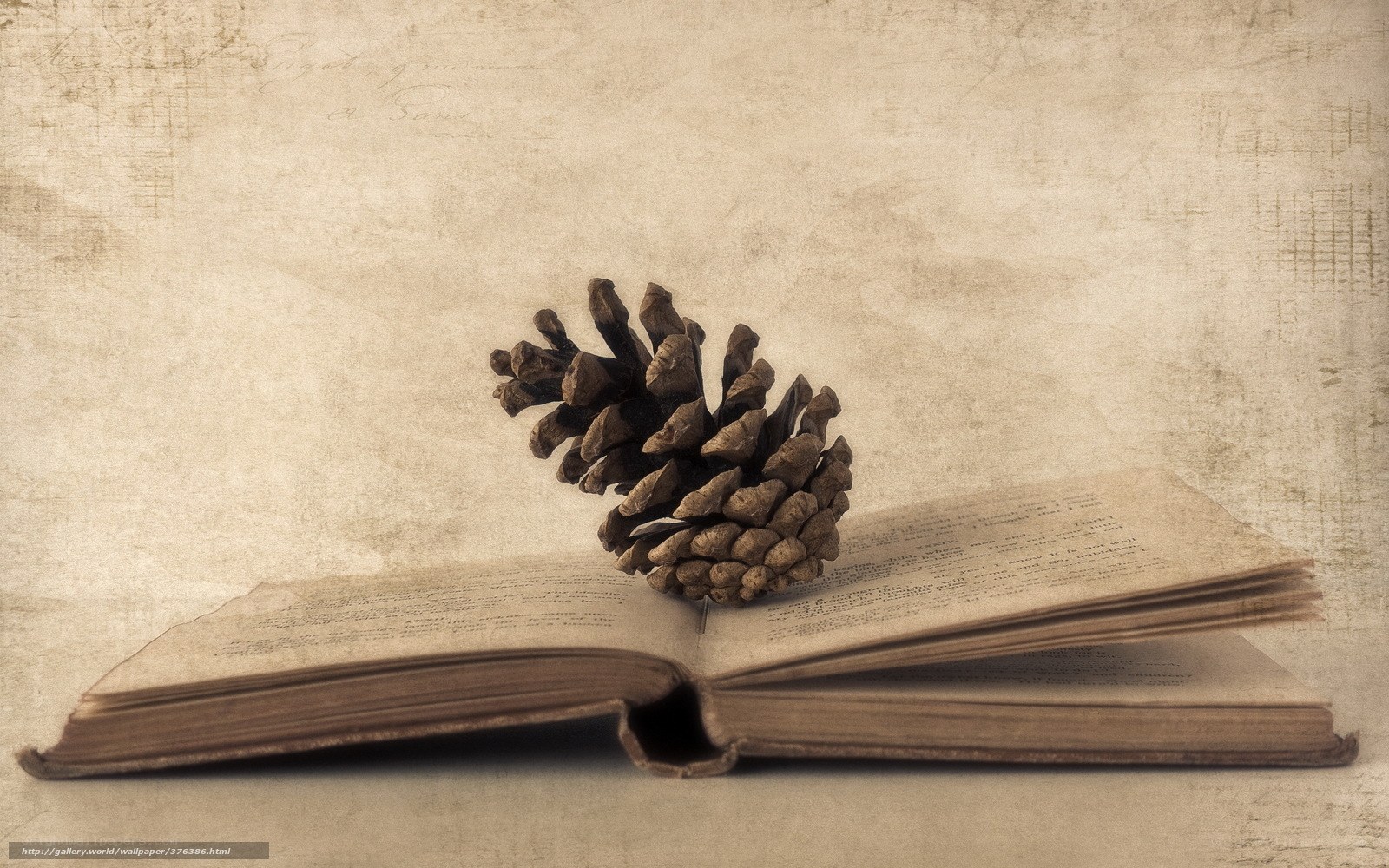 old book with pinecone