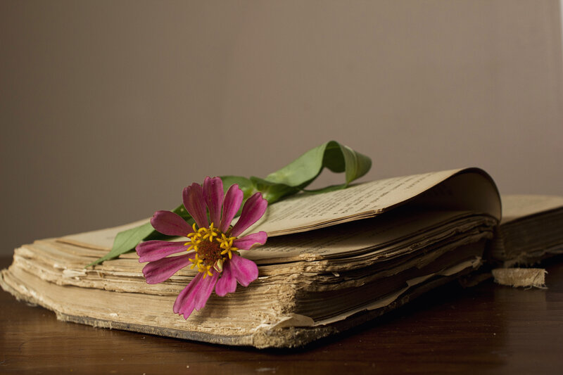 Old Book with Pink Flower