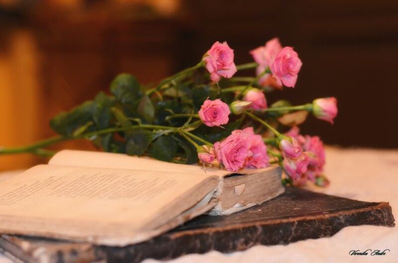 Old Book with Pink Roses