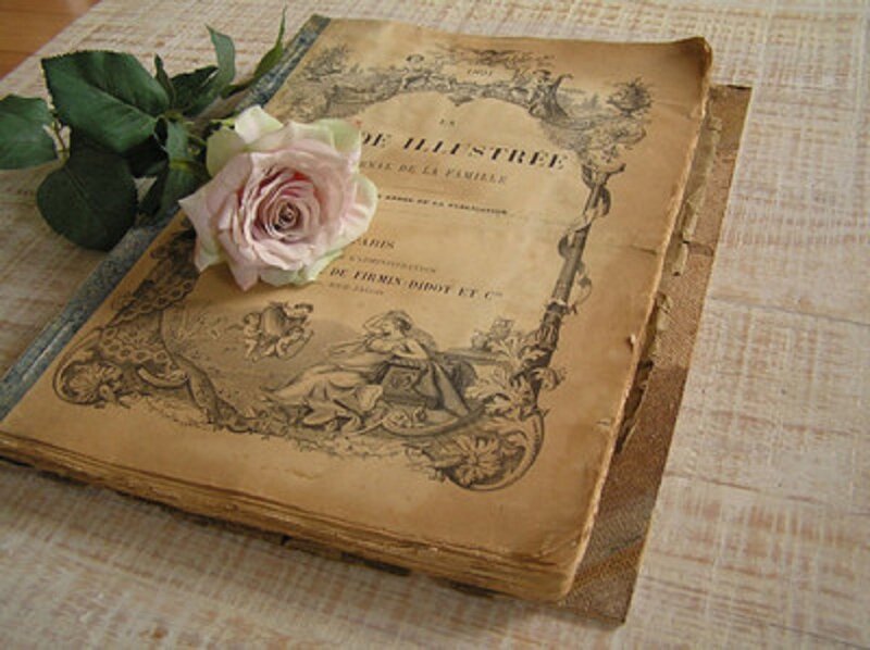 Old Book with Rose — Brown