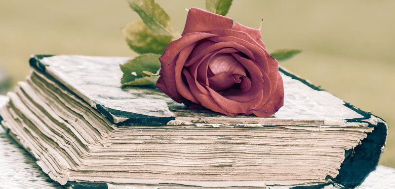 Old Book with Rose — Pink
