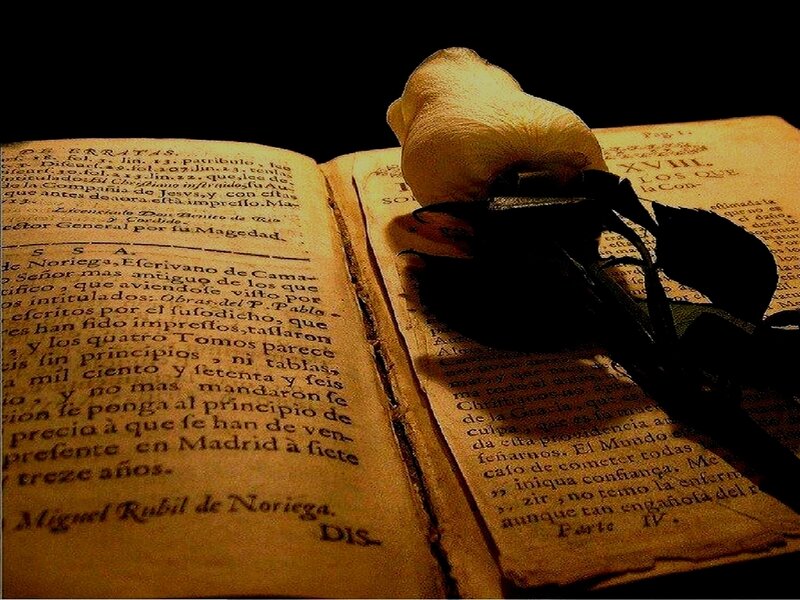 old book with rose