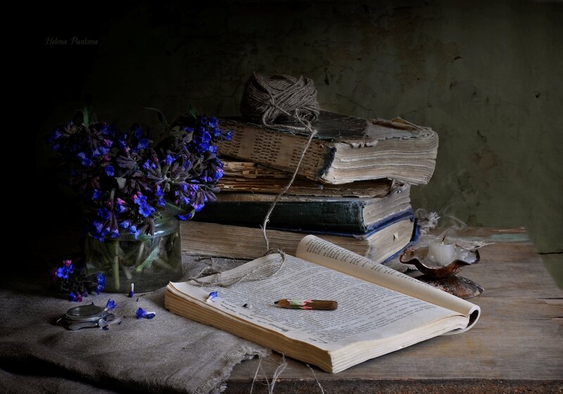 Old Books and Flowers — Brown, Dramatic