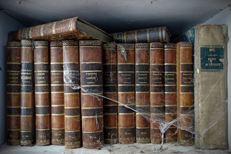 Old Books on a Shelf — Brown, Dusty