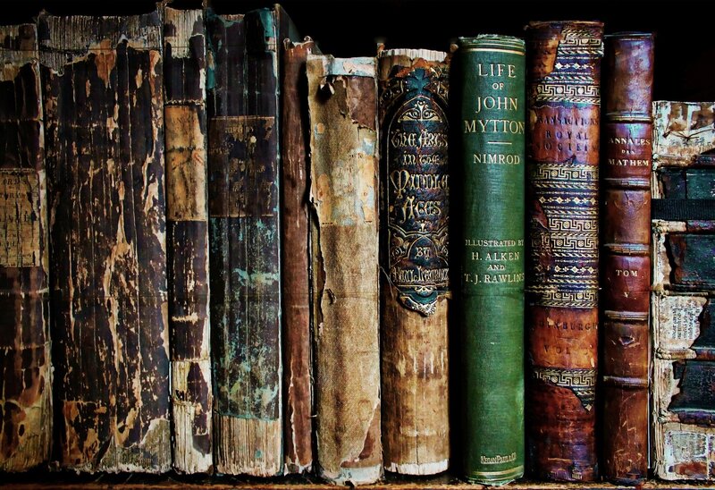 Old Books on Shelf — Brown