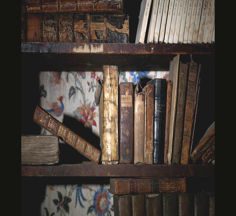 Old Books on Shelves — Brown, Dusty