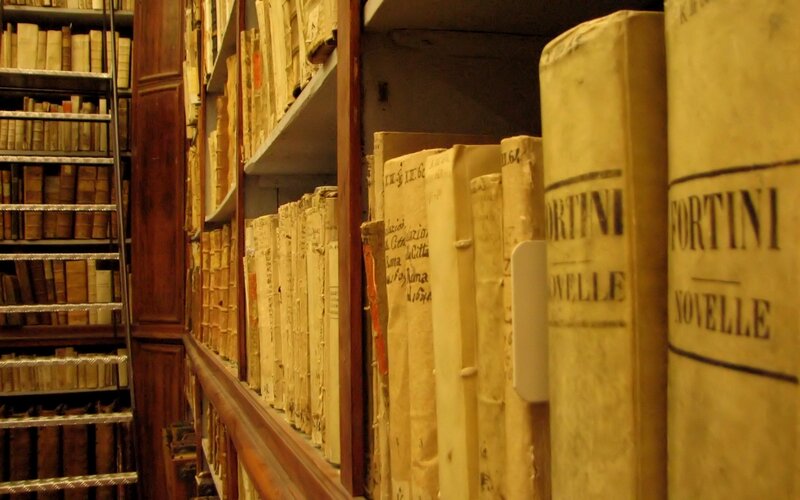 Old Books on Shelves — Brown