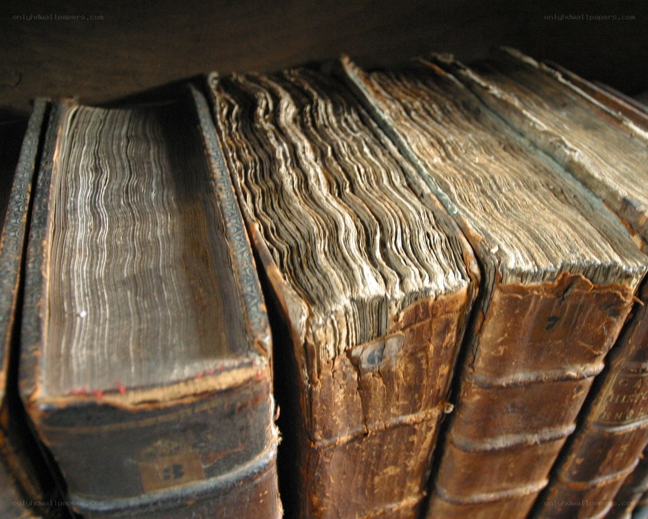 old books with warped spines
