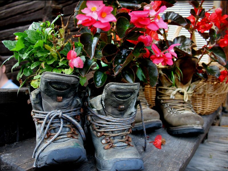 Old Boots with Flowers