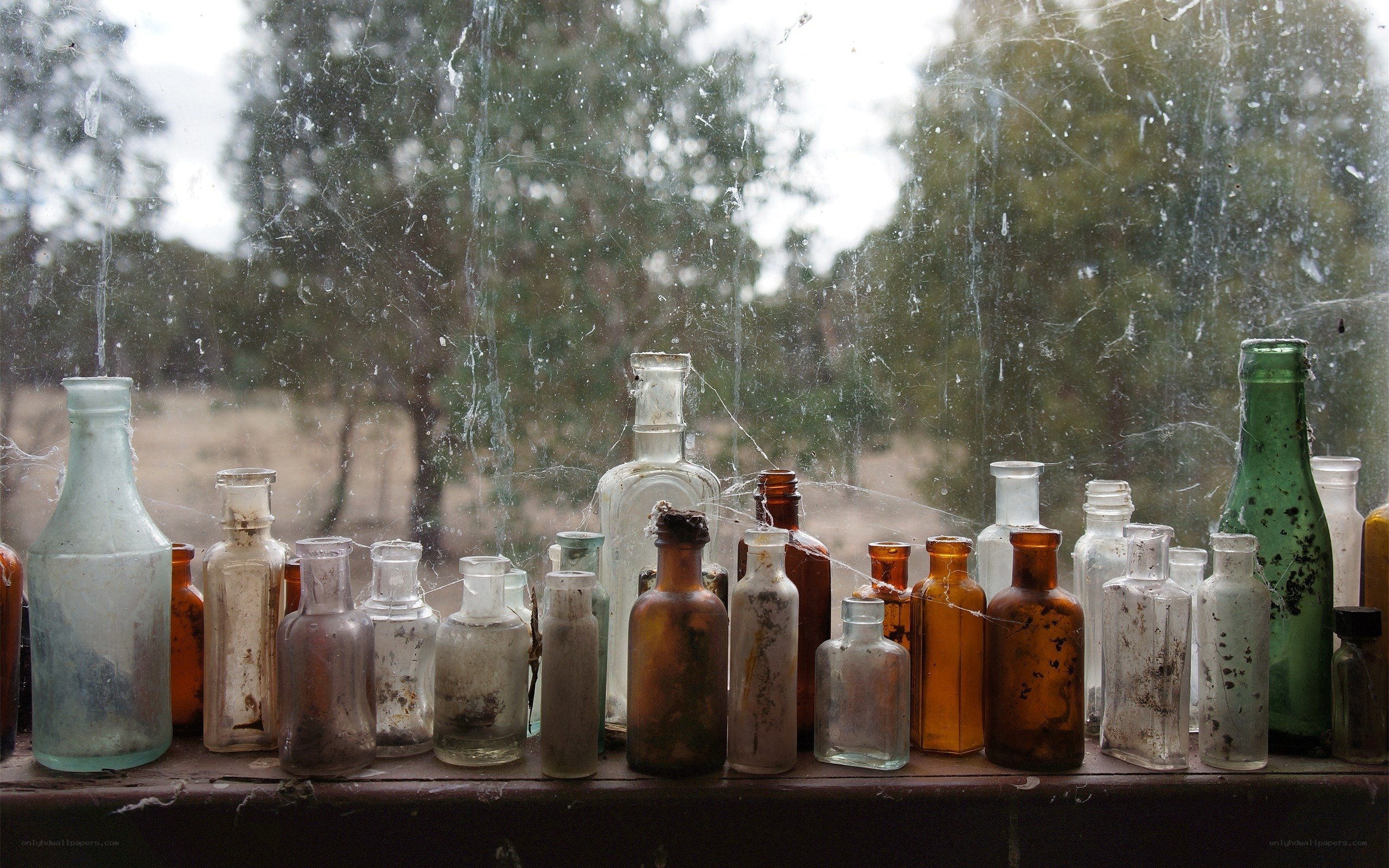 Old bottles on a dusty windowsill