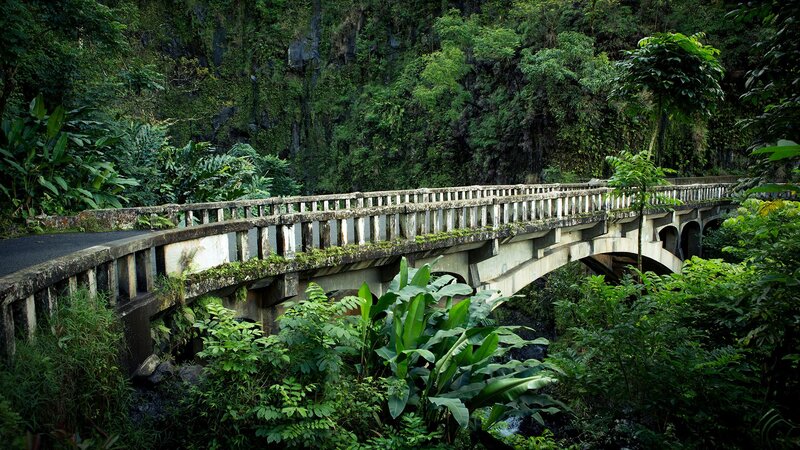 Old Bridge in Jungle