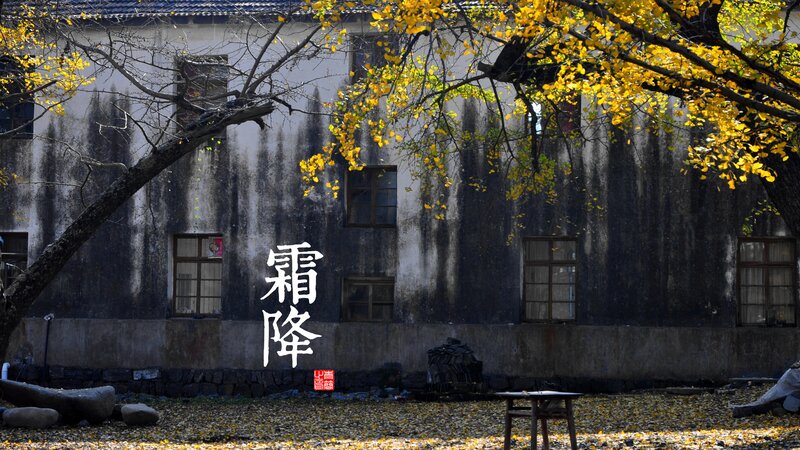 Old Building with Ginkgo Tree