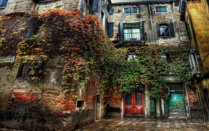 Old building with ivy-covered walls