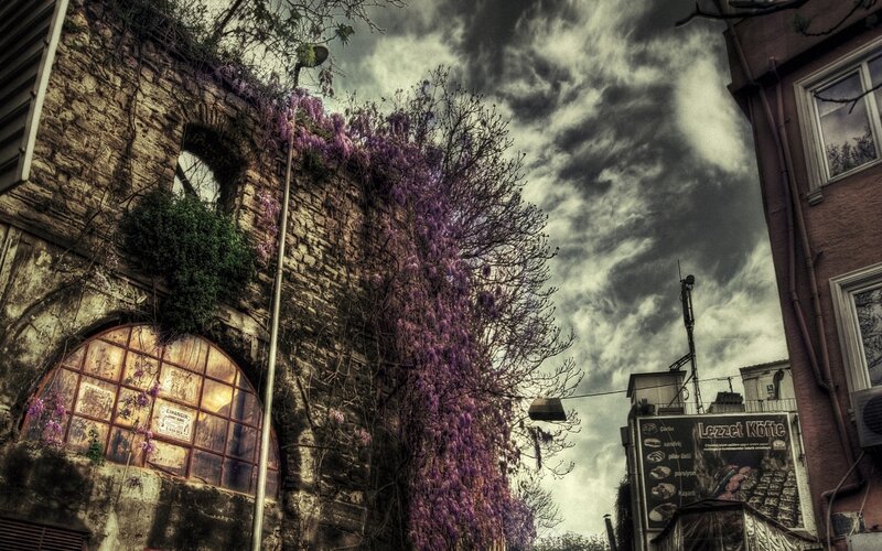 Old building with purple flowers