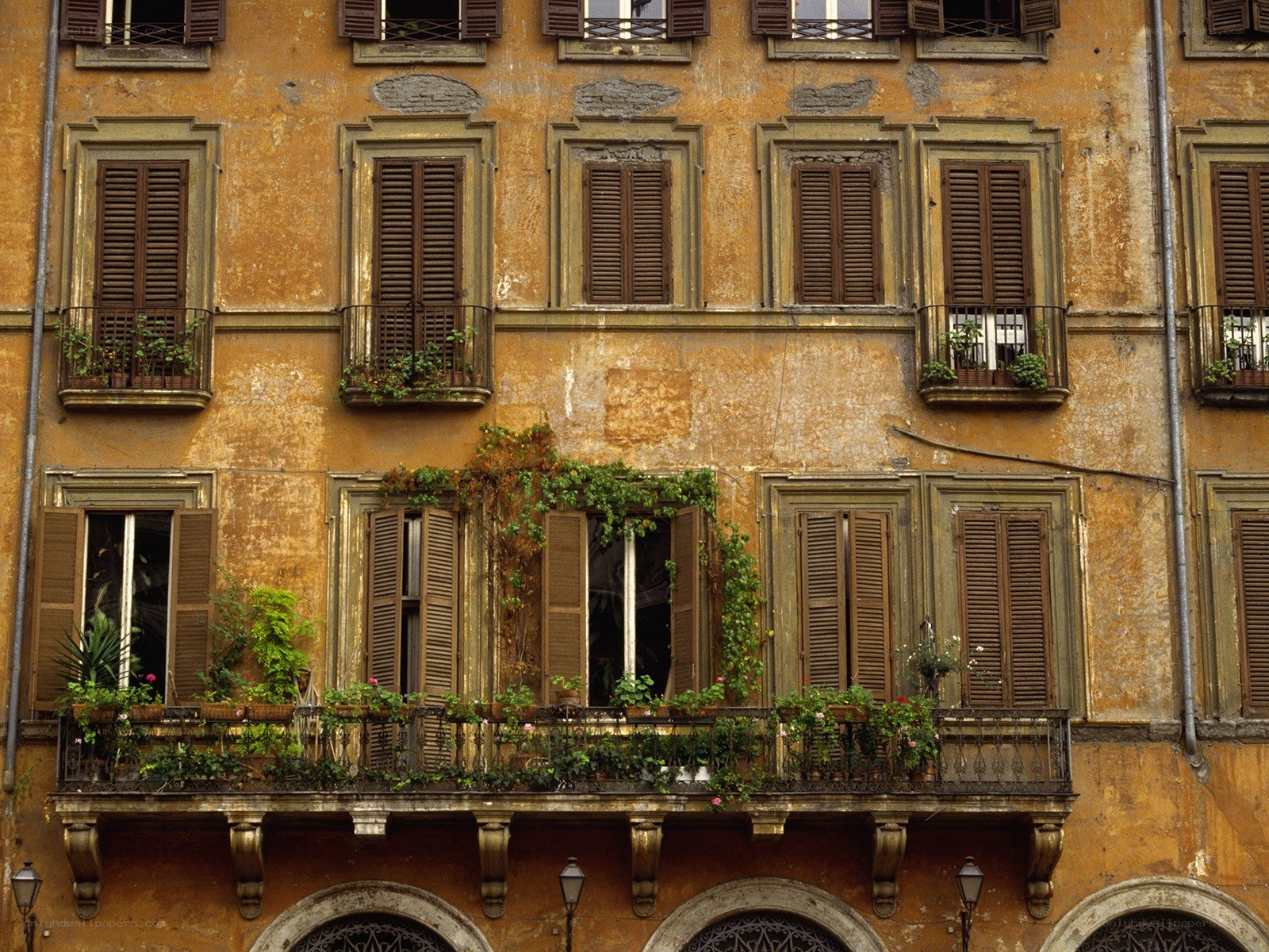 Old building with shutters and plants