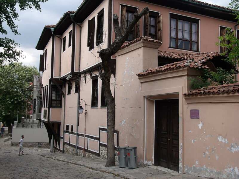 Old Building with Tree